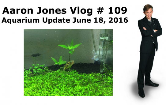 Aquarium Update June 18, 2016 : Aaron Jones Vlog # 109